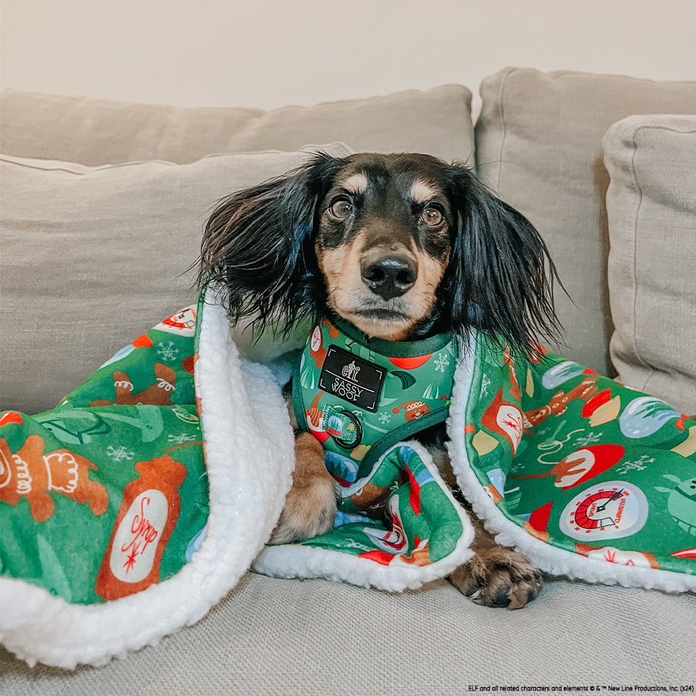 Dog Two Piece Bundle -  Elf™