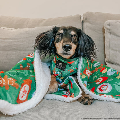 Dog Two Piece Bundle -  Elf™