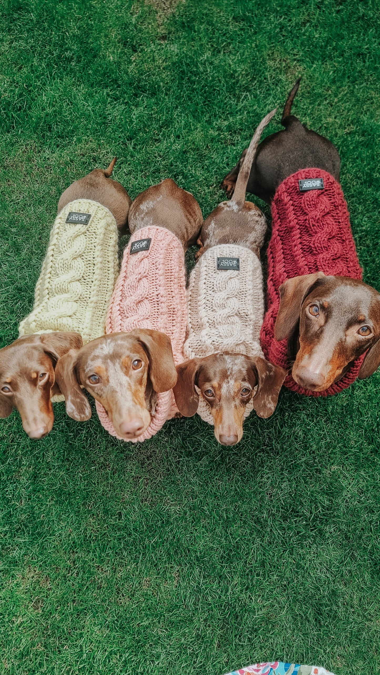 Pet Cable Knit Sweater - Red