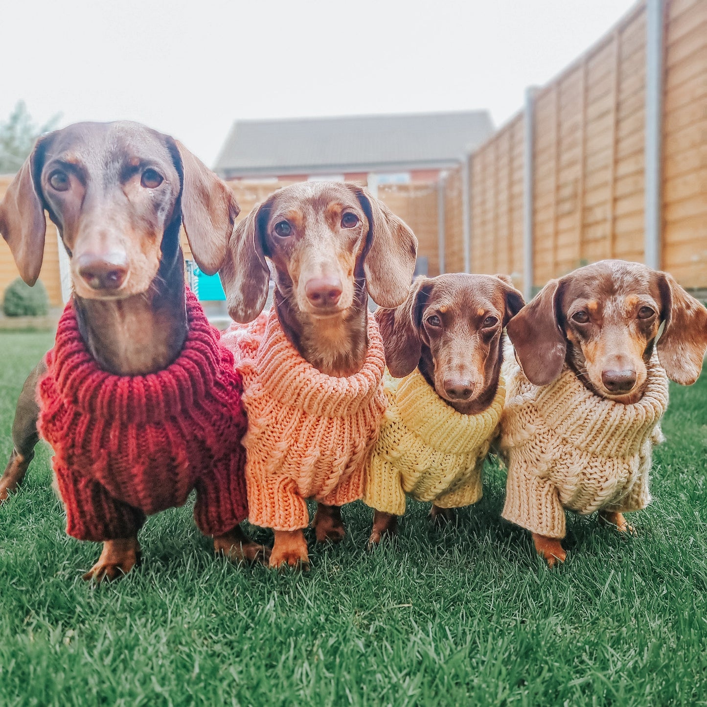 Pet Cable Knit Sweater - Red