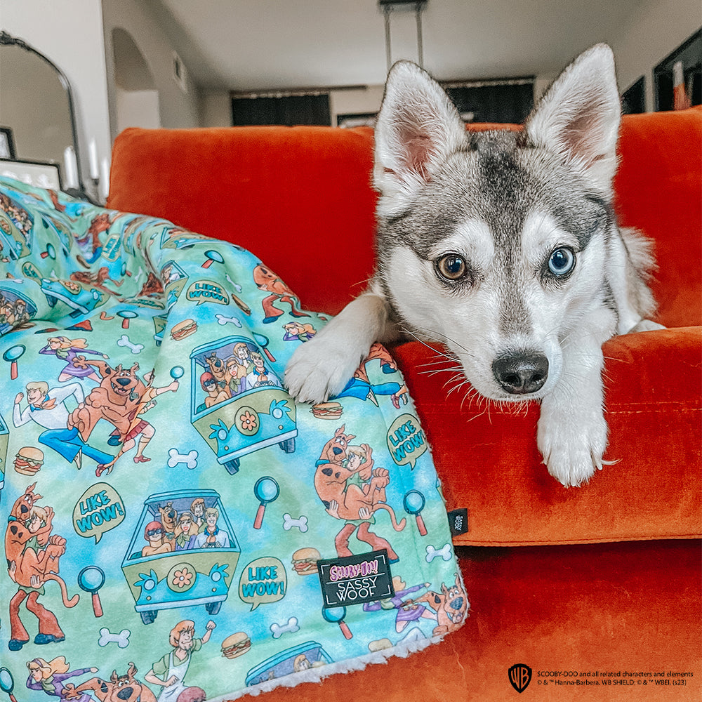 Pet Blanket - Scooby-Doo™