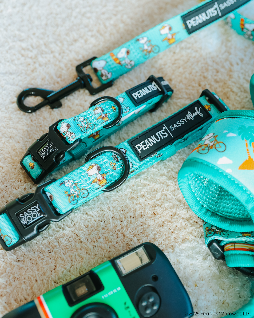 Dog Collar - Peanuts™ Road Tripping