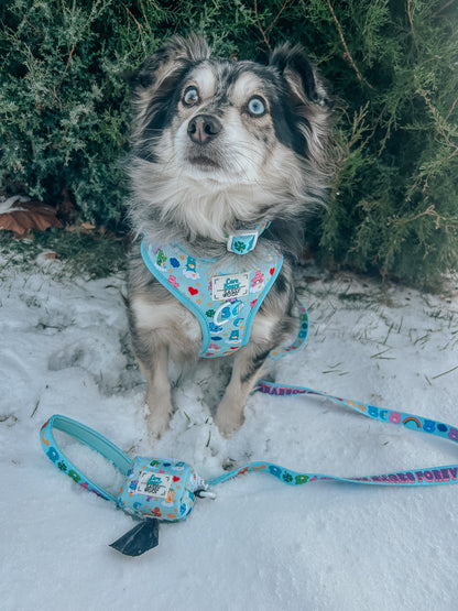 Dog Leash - Care Bears™ Care-a-Lot