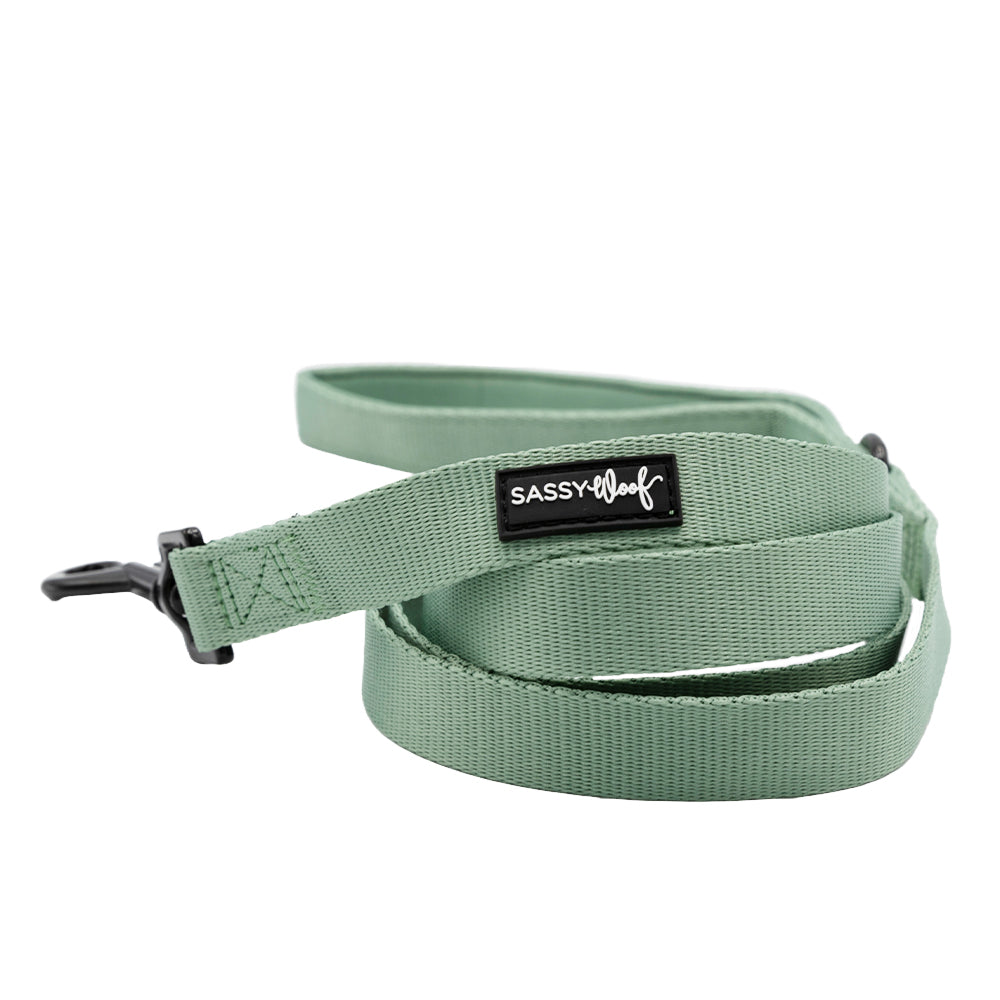 Dog Collar Three Piece Bundle - Sage