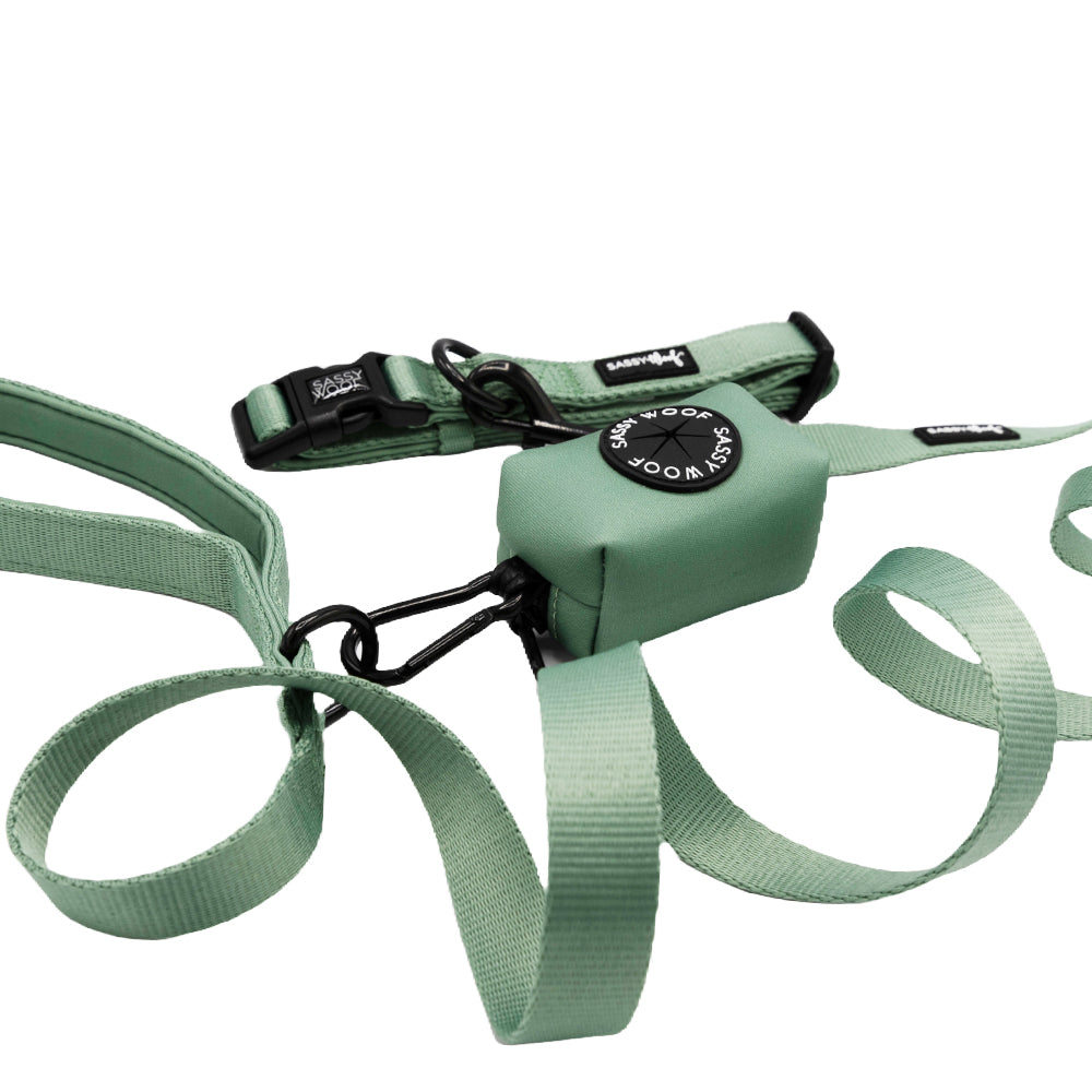 Dog Collar Three Piece Bundle - Sage