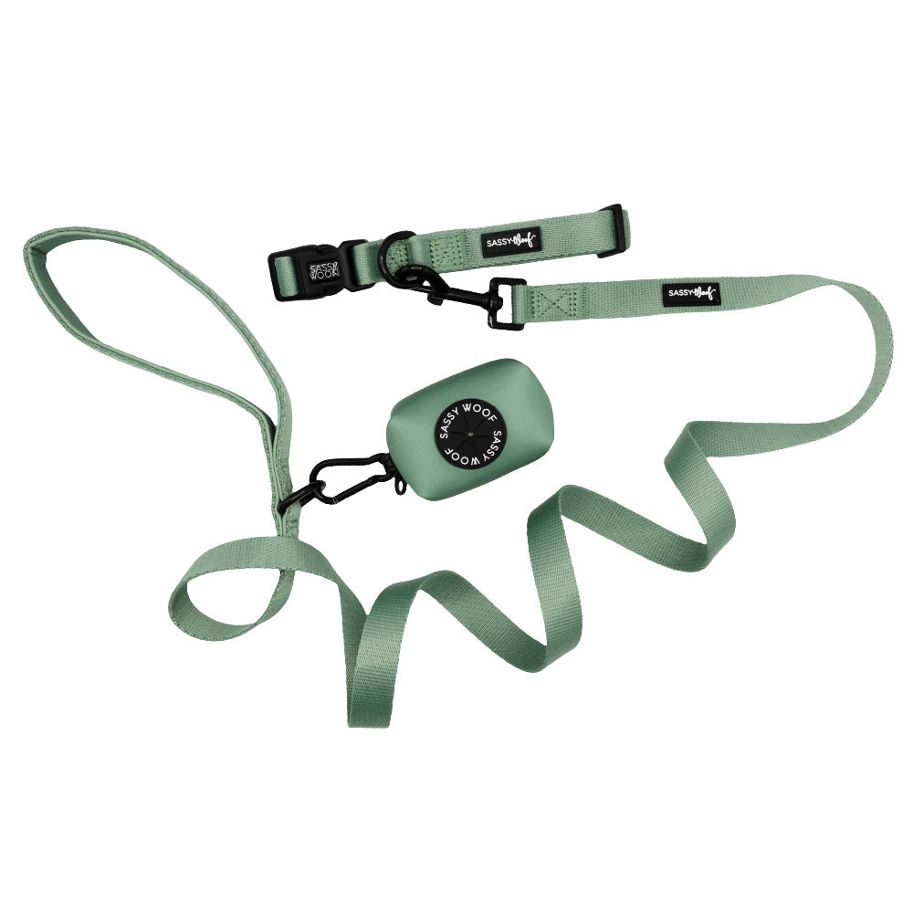 Dog Collar Three Piece Bundle - Sage