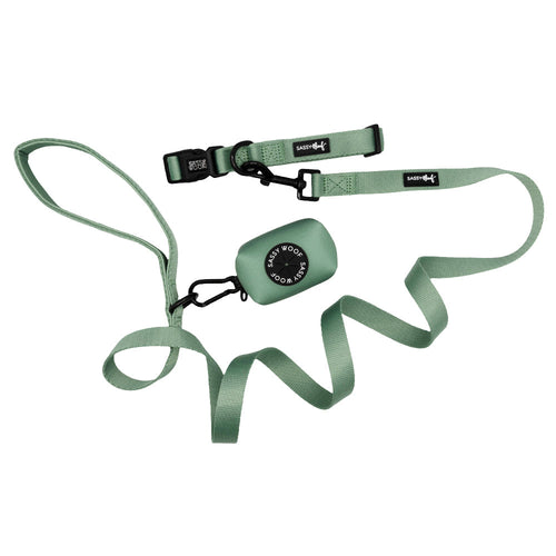 Dog Collar Three Piece Bundle - Sage