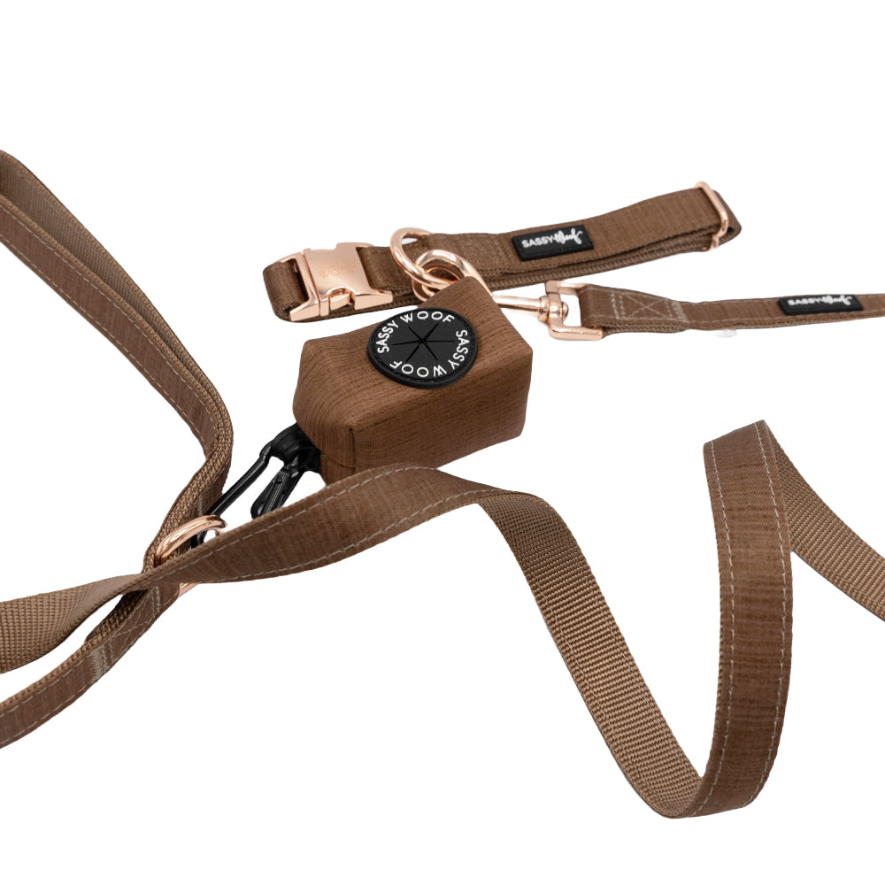 Dog Collar Three Piece Bundle - Teddy