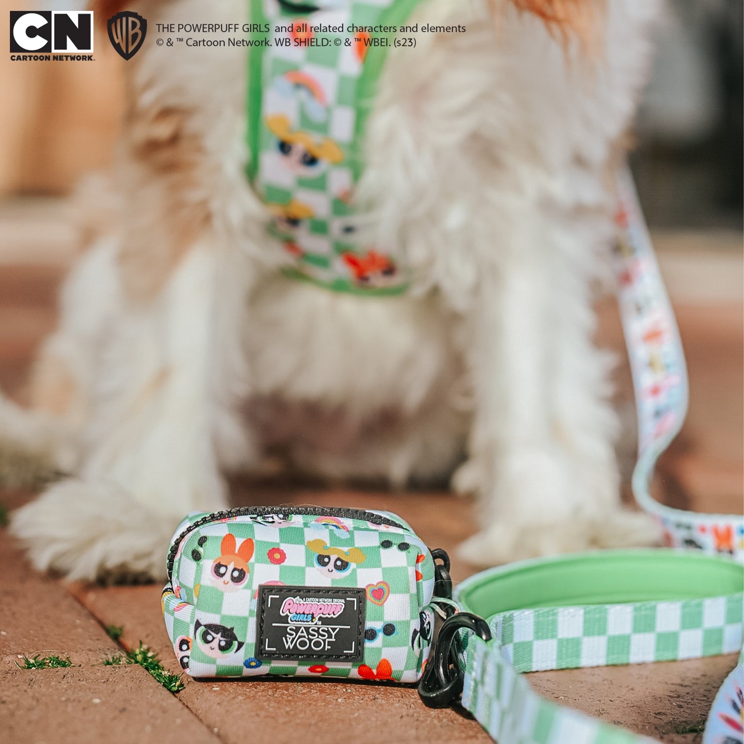 Dog Waste Bag Holder - The Powerpuff Girls™ (Green)