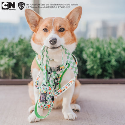 Dog Waste Bag Holder - The Powerpuff Girls™ (Green)