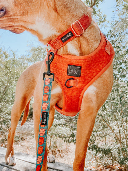 Dog Four Piece Bundle - Foxy