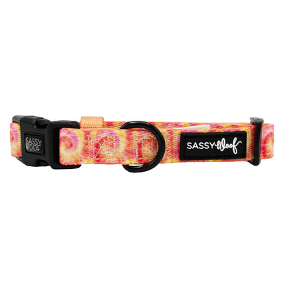 Dog Collar - Summer Sorbet