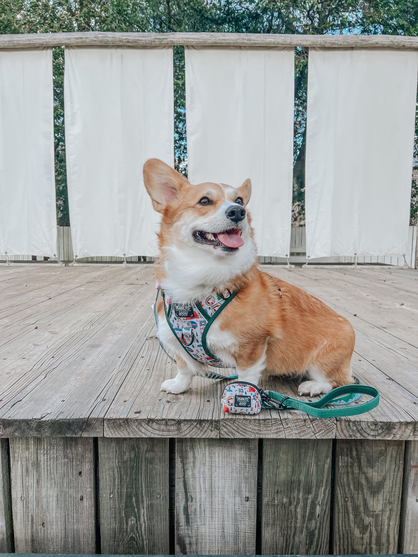 Dog Two Piece Bundle - Peanuts™ Beagle Scouts
