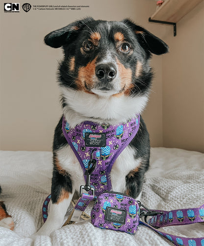 Dog Two Piece Bundle -  Mojo Jojo™