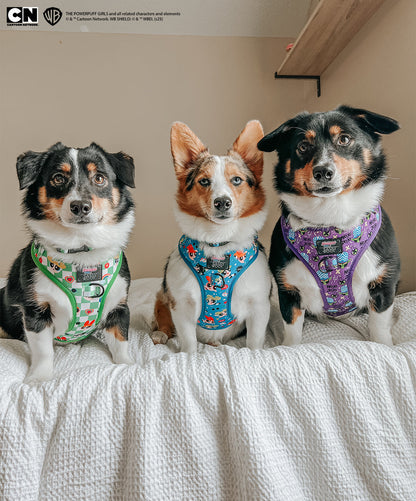 Dog Adjustable Harness - The Powerpuff Girls™ (Blue)
