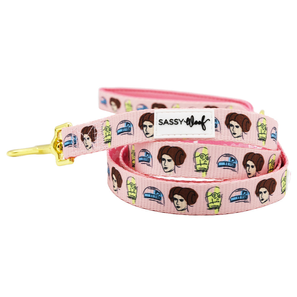 Dog Two Piece Bundle - STAR WARS™ Princess Leia
