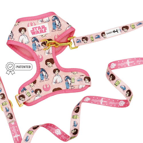 Dog Two Piece Bundle - STAR WARS™ Princess Leia