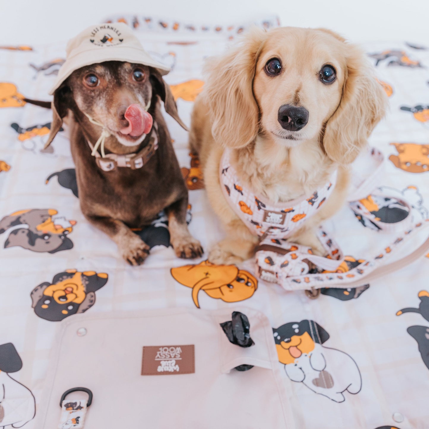 Dog Picnic Blanket - Weens Club