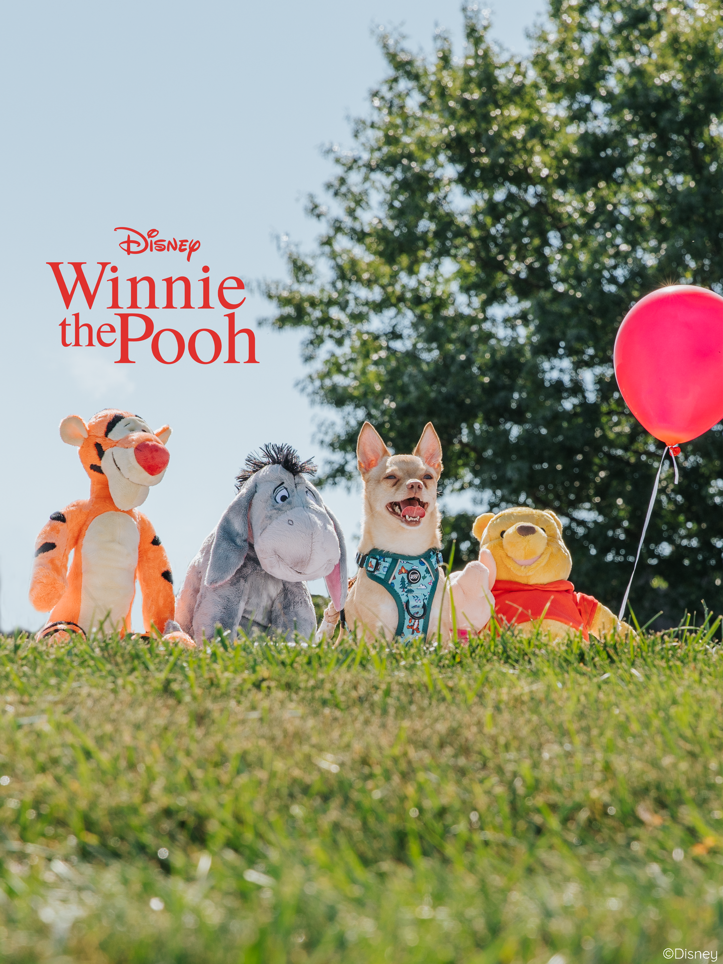 Dog Two Piece Bundle - Disney's Winnie the Pooh