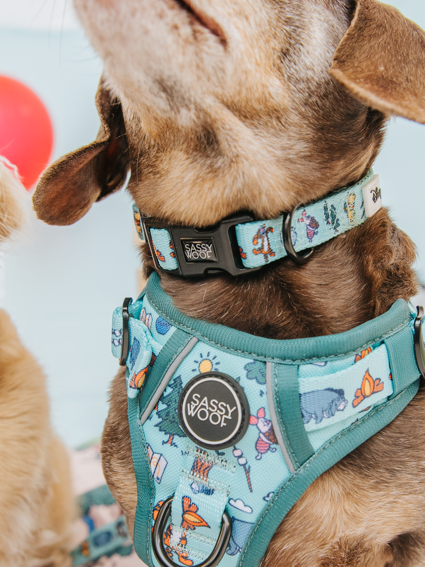 Dog Two Piece Bundle - Disney's Winnie the Pooh