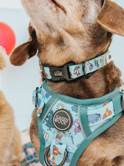 Dog Two Piece Bundle - Disney's Winnie the Pooh