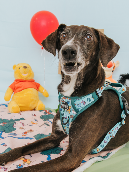 Dog Two Piece Bundle - Disney's Winnie the Pooh