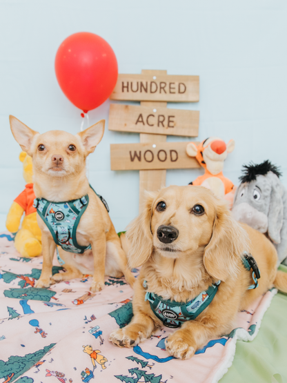 Dog Two Piece Bundle - Disney's Winnie the Pooh