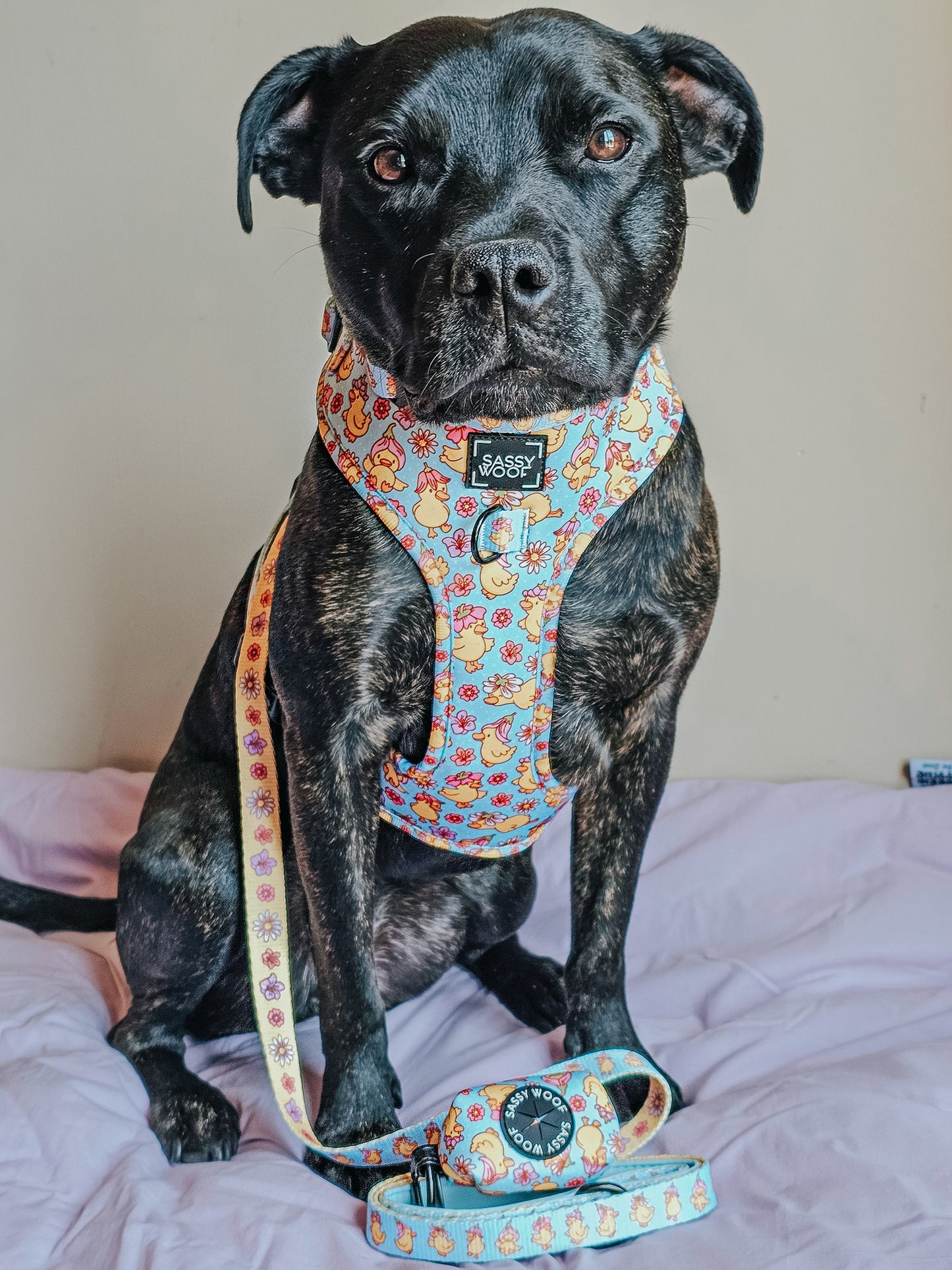 Dog Waste Bag Holder - Good Duck, Babe!