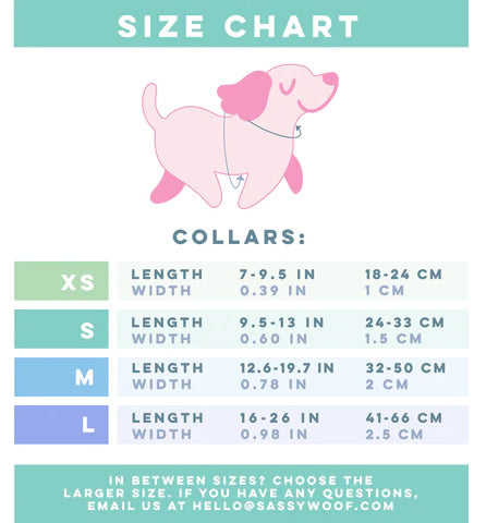Dog Collar Three Piece Bundle - Neon Yellow