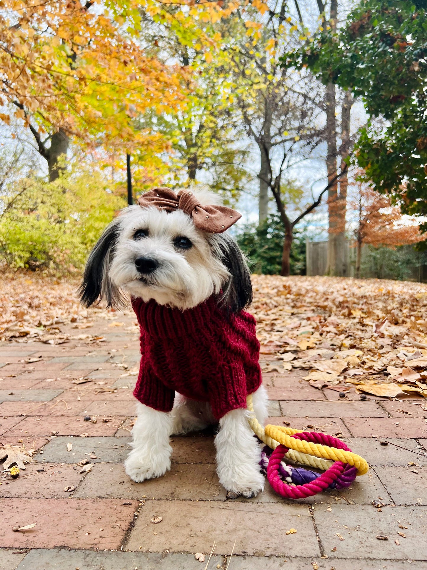 Pet Cable Knit Sweater - Red