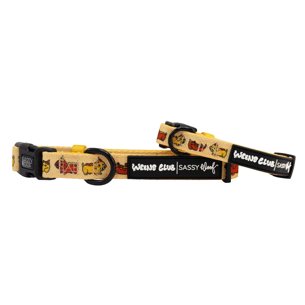 Dog Collar - Hot Dawg
