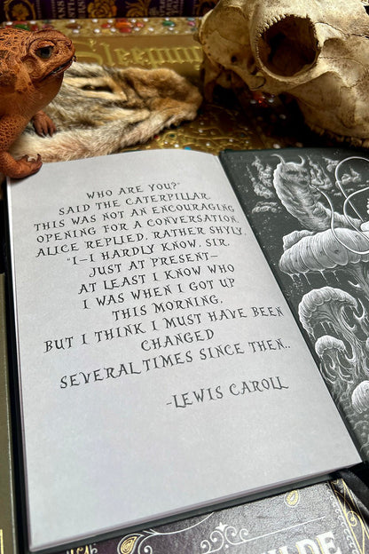 Alice in Murderland Journal