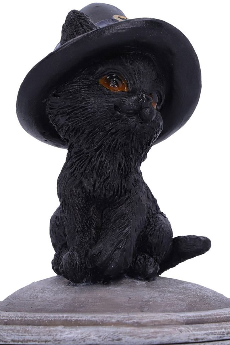 Black Cat Cauldron Box