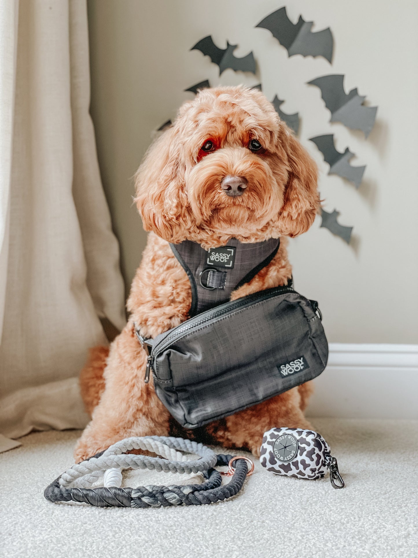 Baby Got Black Woof Pack (Bag Only)