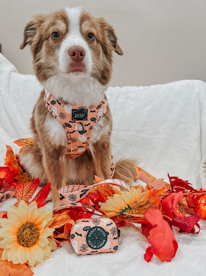 Dog Adjustable Harness - Squad Ghouls