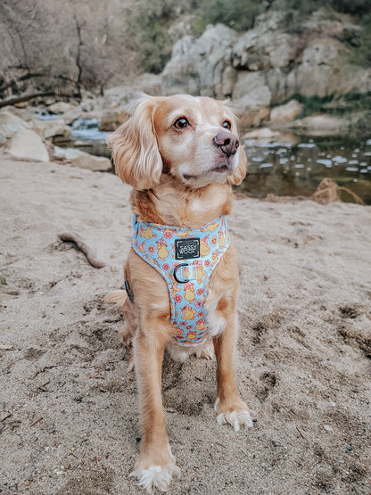 Dog Adjustable Harness - Good Duck, Babe!