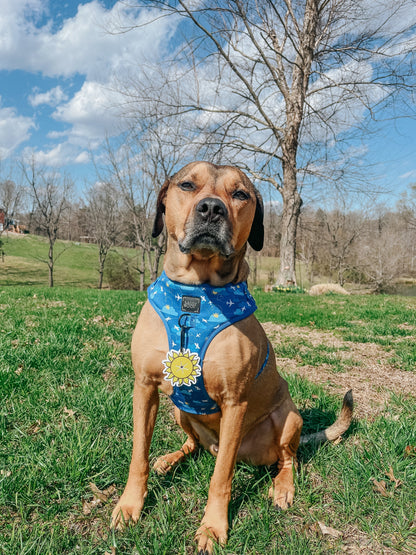 Potty Pal - Sun