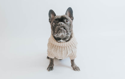 Pet Cable Knit Sweater - Beige