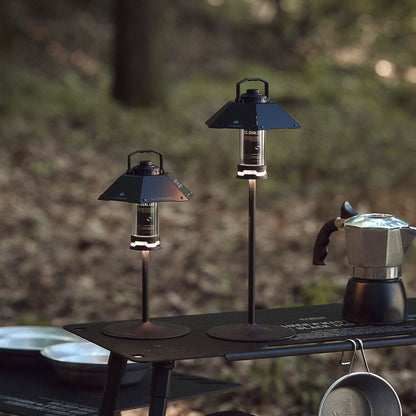 CARGO Dual Light Package Mini