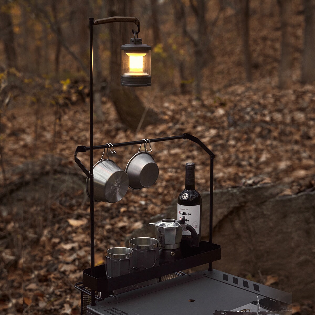 CARGO IGT Accessory