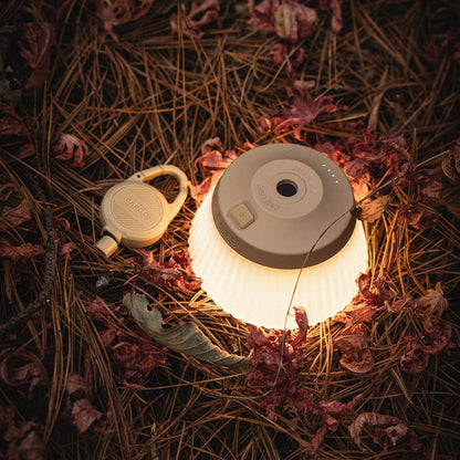 CARGO Reel Light (Mini/Pro)