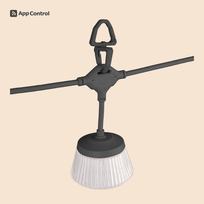CARGO Shine String Light 7