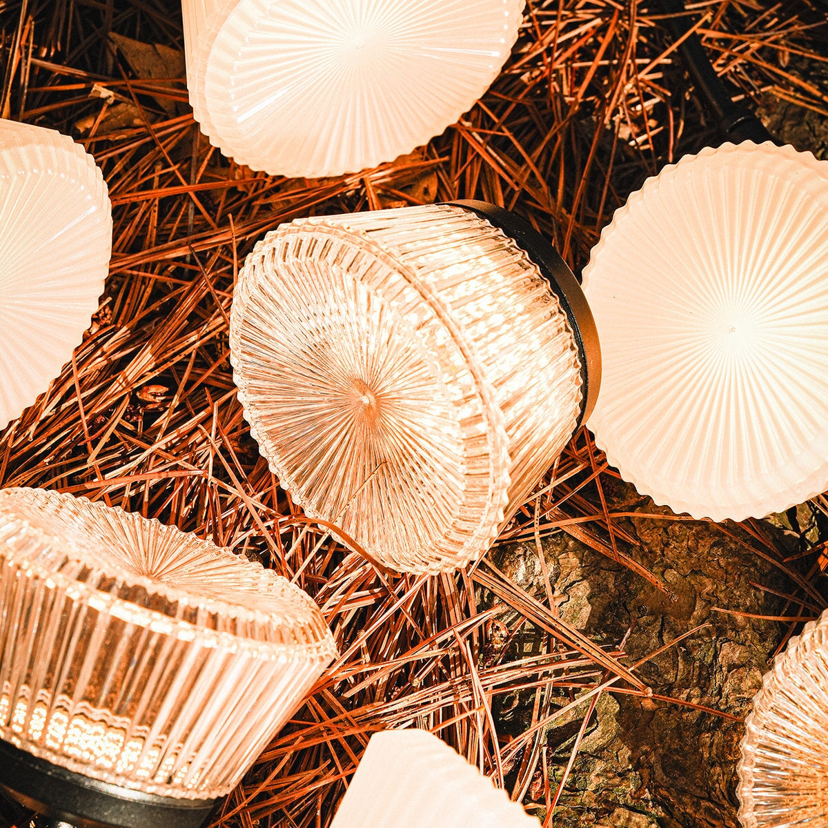 CARGO Shine String Light 7