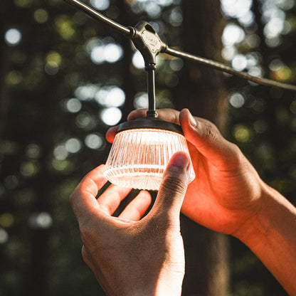 CARGO Shine String Light 7