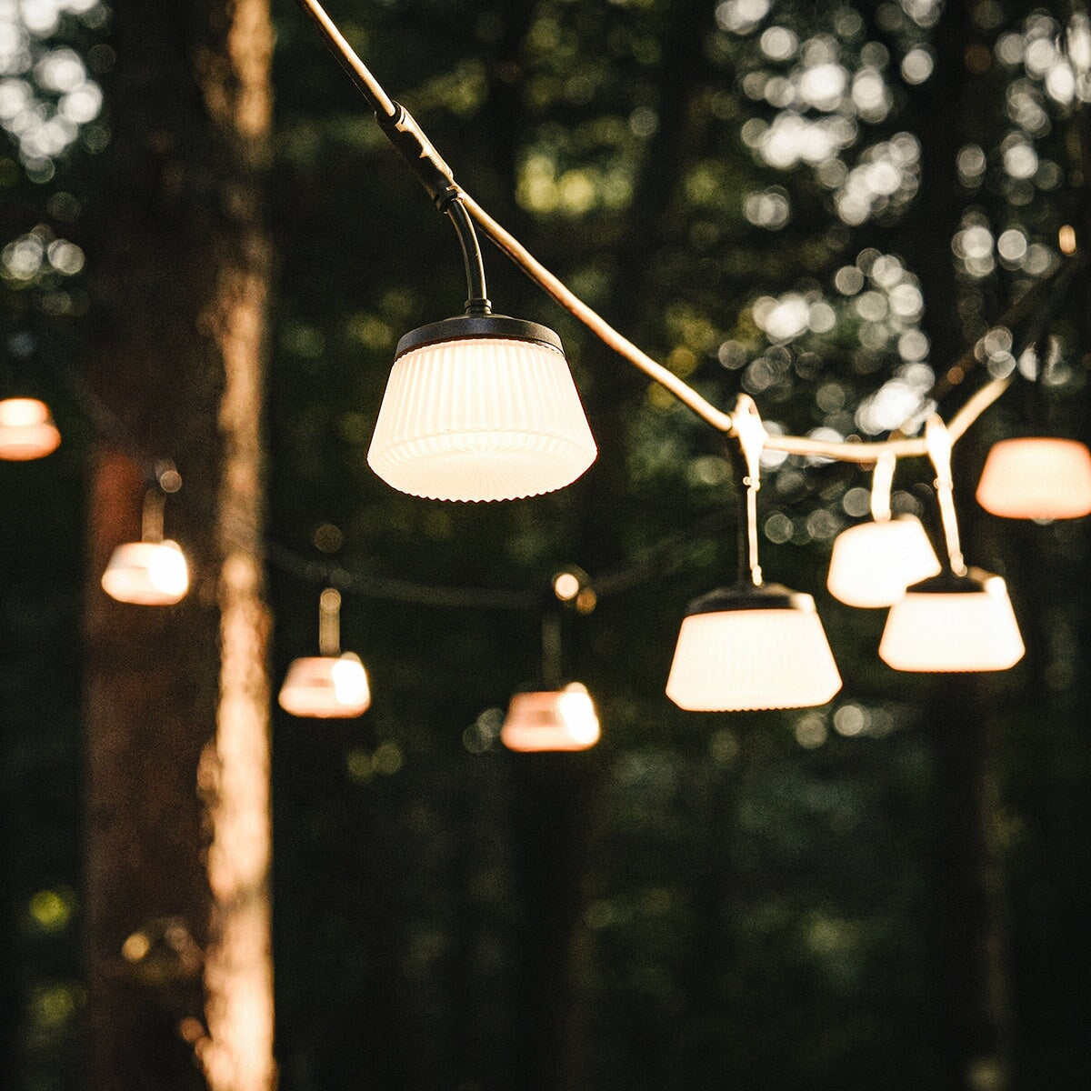 CARGO Shine String Light 7