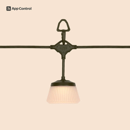 CARGO Shine String Light 7