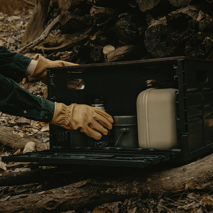CARGO Signature Folding Box