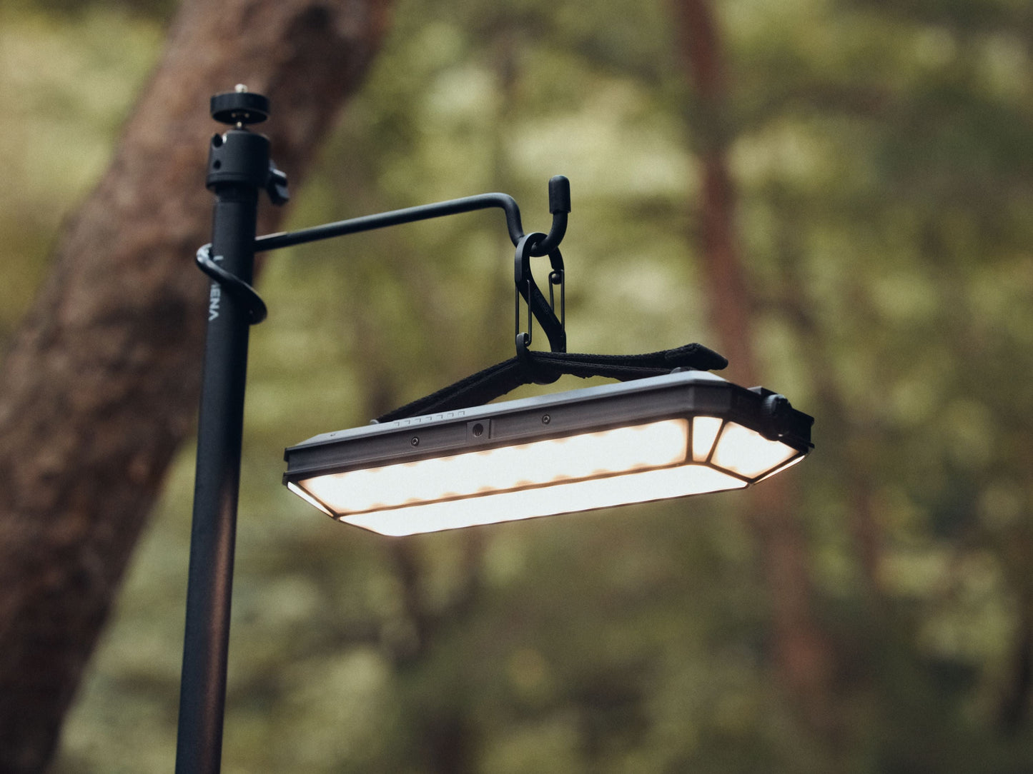 CARGO Surround Light Pro
