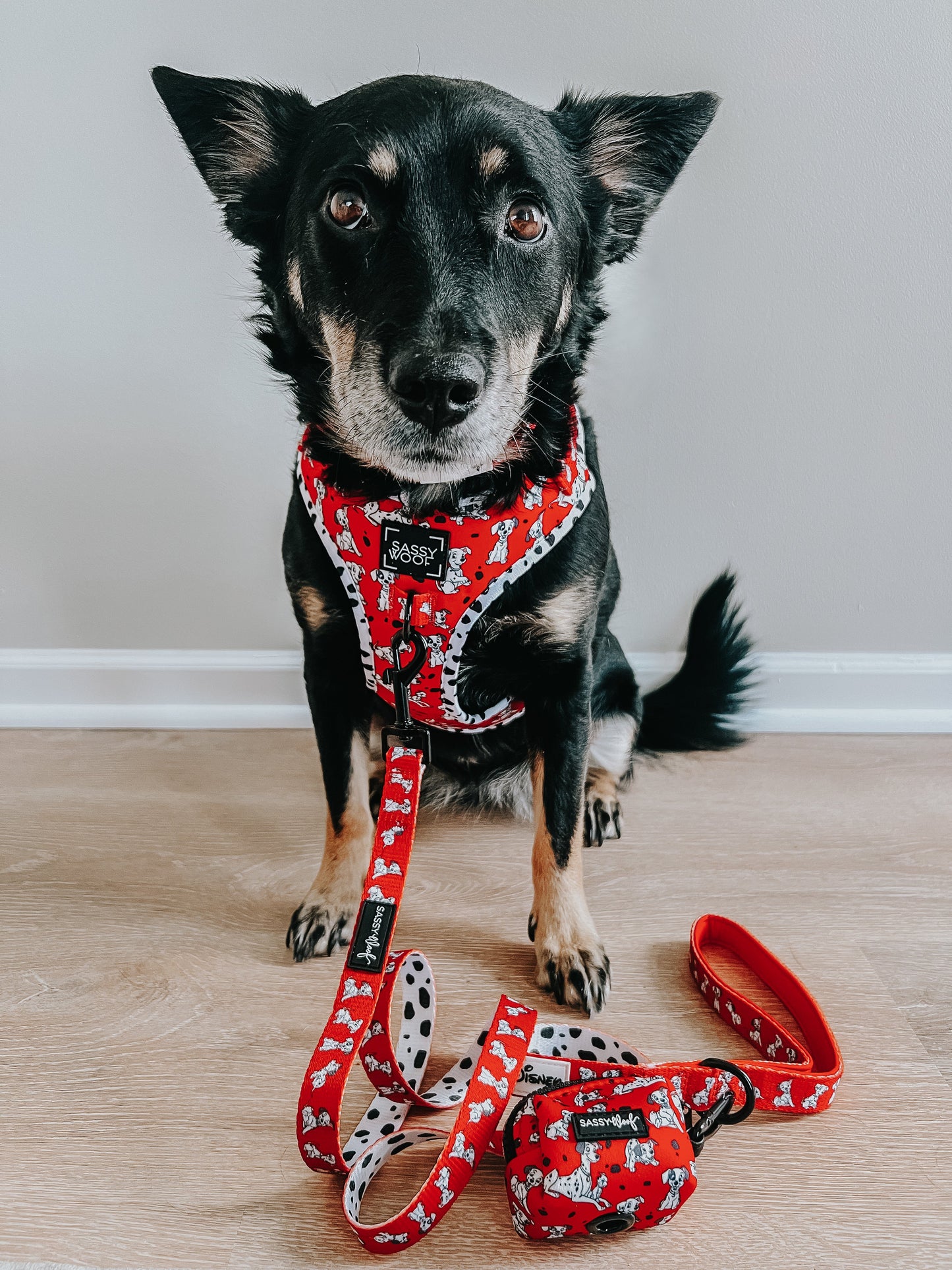 Dog Leash - Disney's 101 Dalmatians