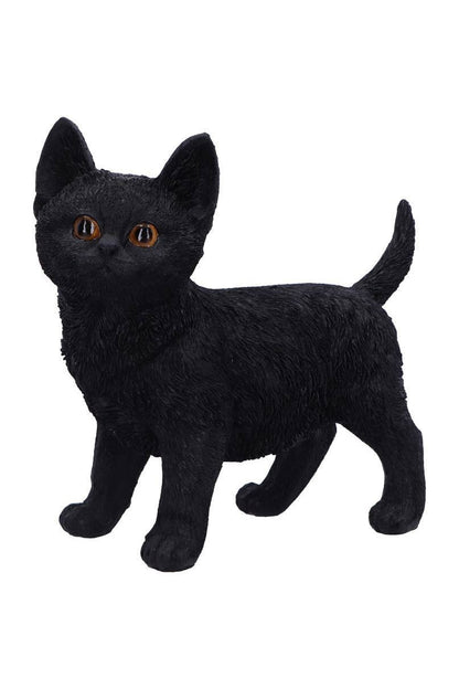 Charmed Companion